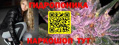 крисы Волжск